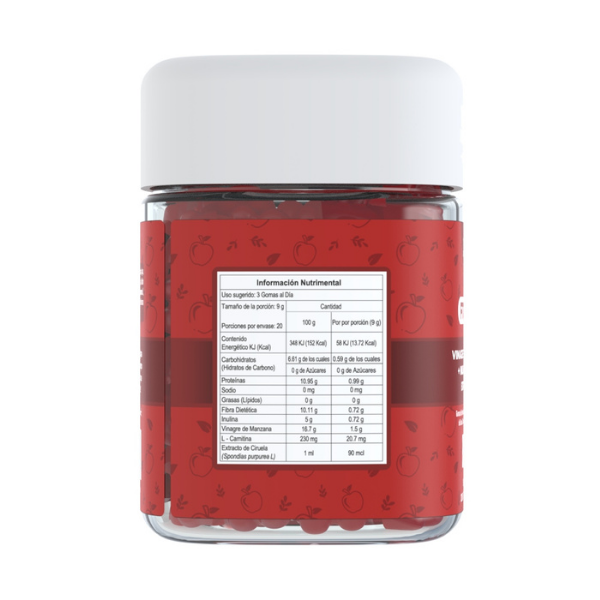 THE GUMMY BOX - FIT GUMMIES